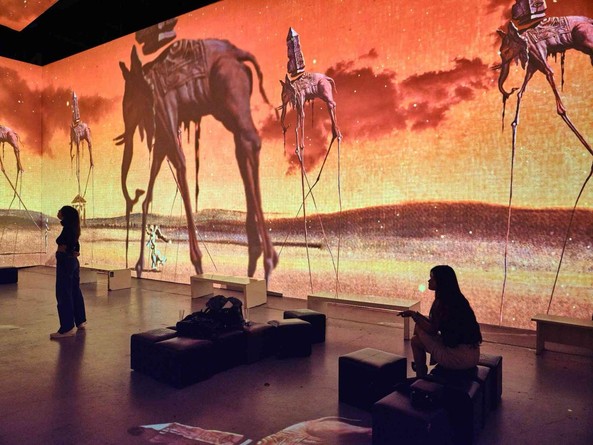 Фото мультимедийной выставки "Сальвадор Дали. Король сюрреализма" в ARTPLAY