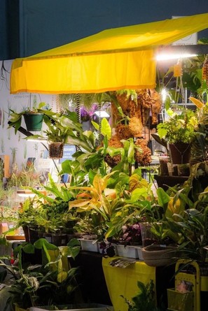 Гроубокс Маркет