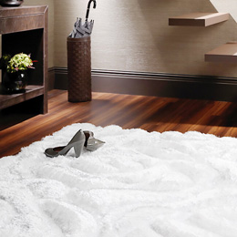 Image Rug Republic