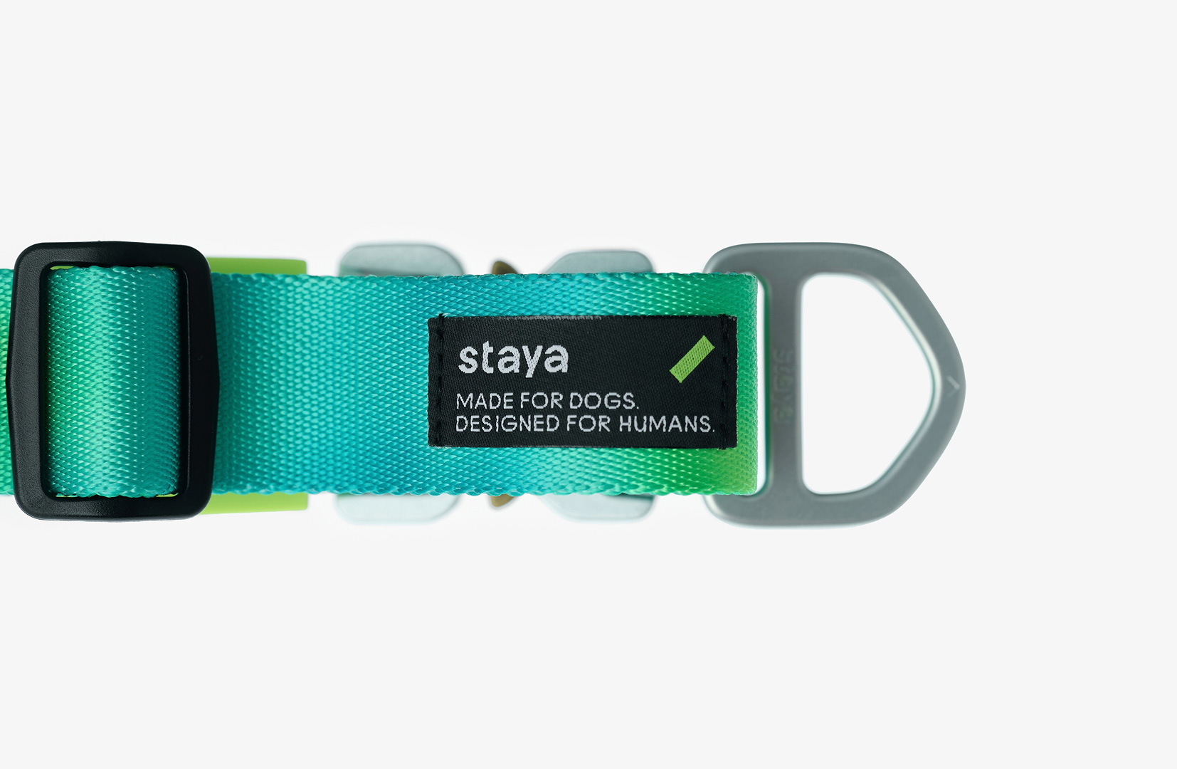 Image staya