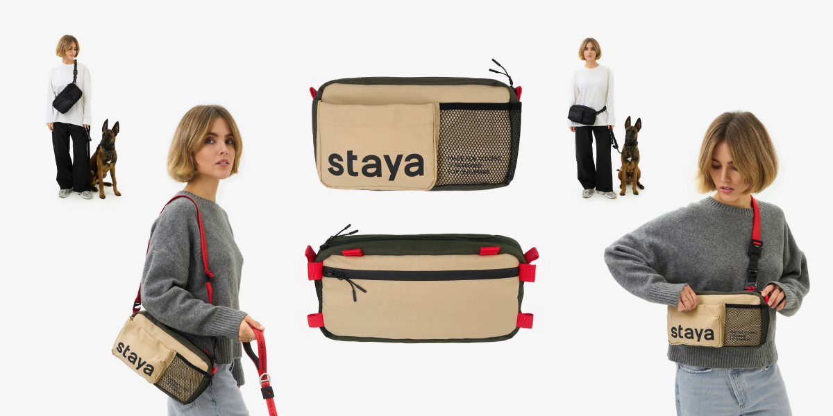 Image staya