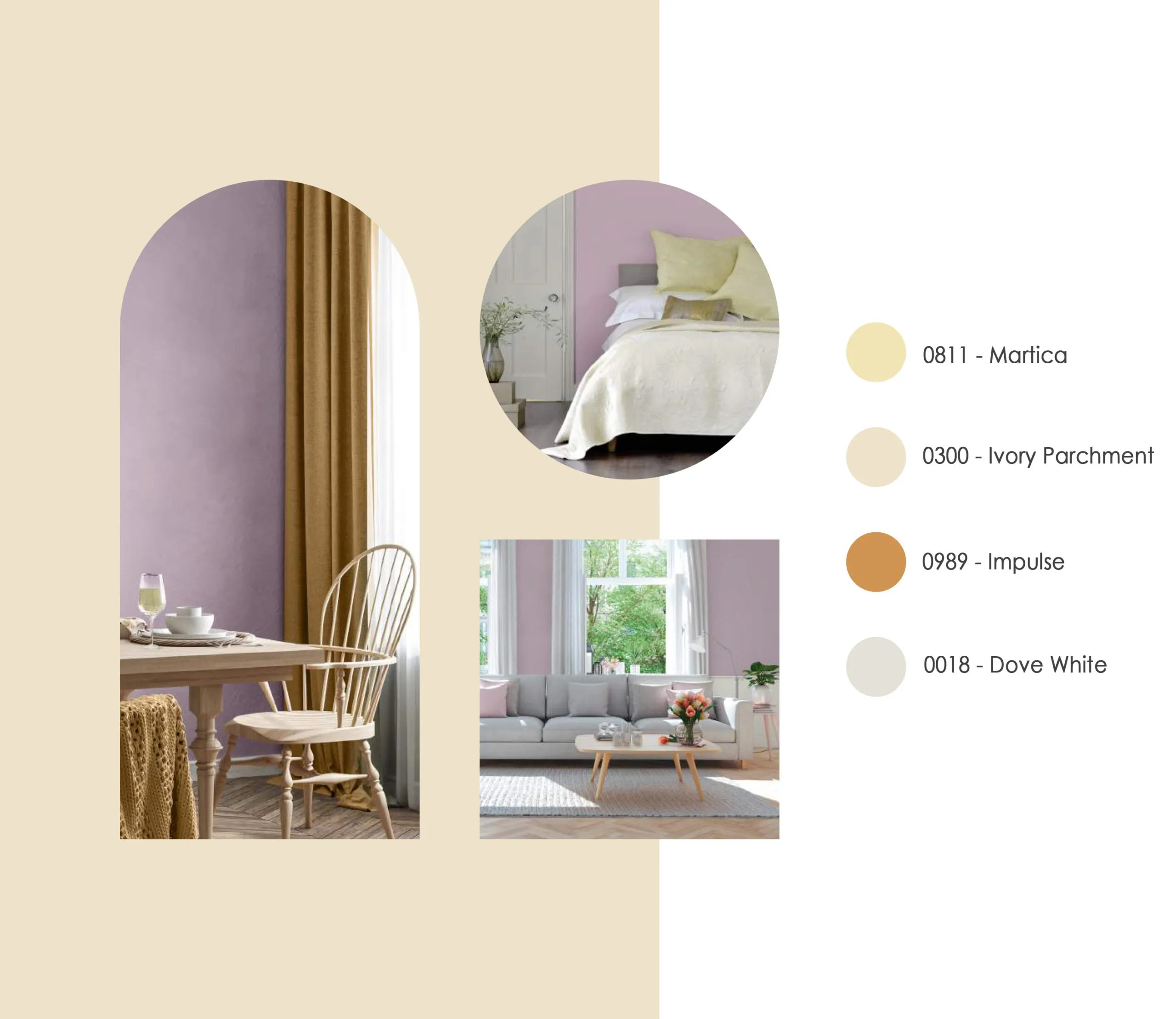 Image MF Paints