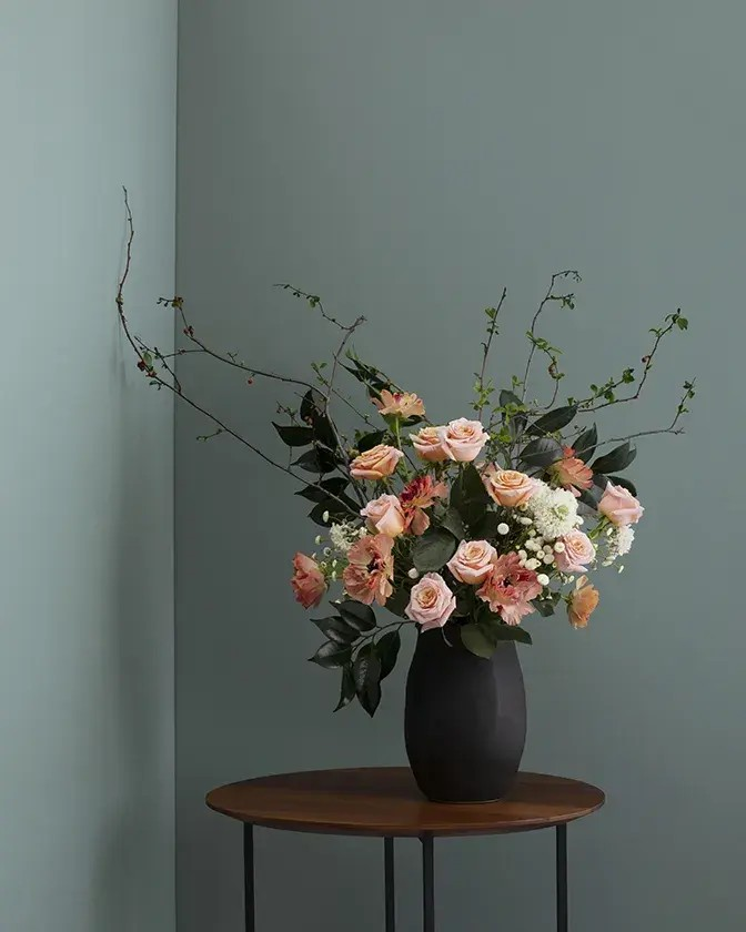 Image Benjamin Moore
