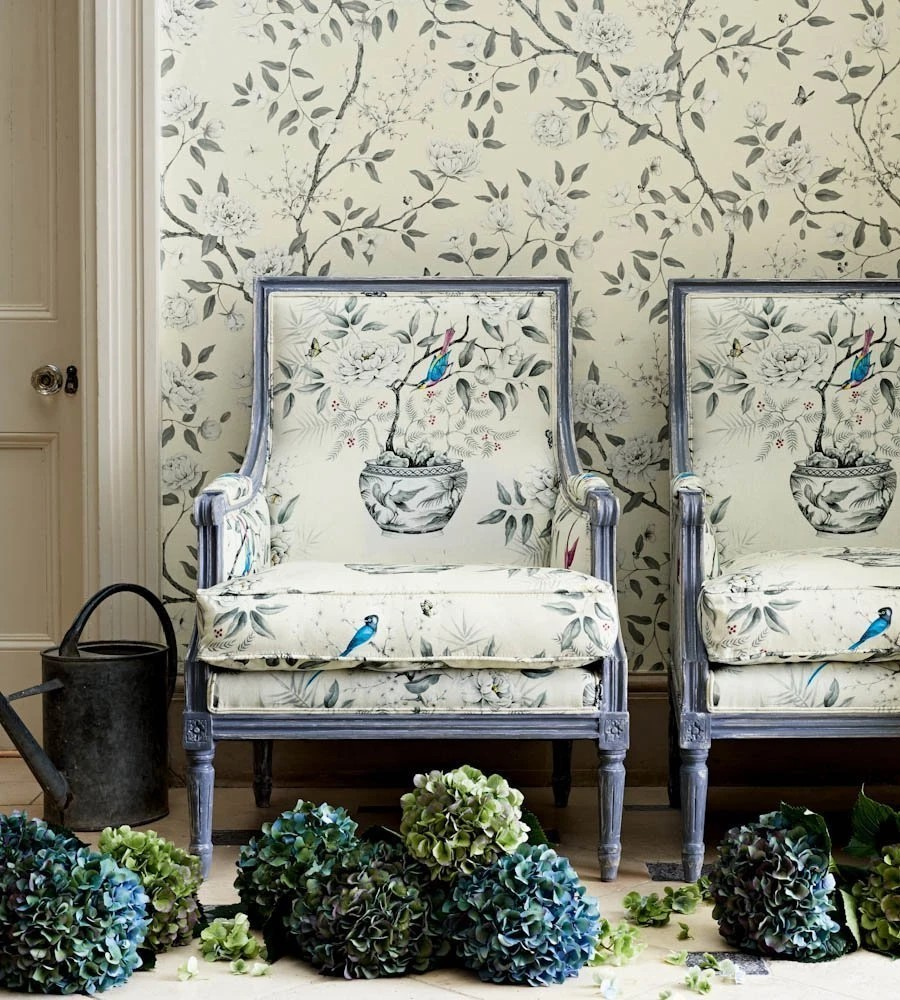Image Zoffany