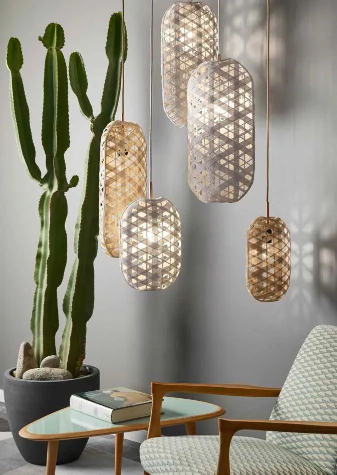 Image Forestier
